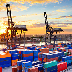 Customs Brokerage Services